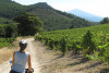 Vineyards by Bike - Full Day Private Tour