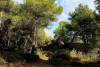Private Tour | Aix | From Bibémus to Cézanne, from Stone to Color