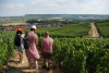 Tasting walk to Cumières (near Epernay)