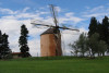 OLIVE OIL AND WIND MILL TOUR