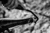 Create your champagne : Disgorgement experience