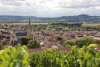 Guided tour of Aÿ-Champagne
