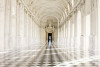 Private tour of the Royal Palace of Venaria Reale