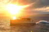Evening cruise to the Islands - Eco 1