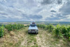 Vintage Champagne tour & Sabrage - from Épernay