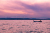 Albufera Tour