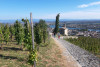 Northern Rhône Valley full day VIATOR