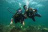 Discovery scuba diving