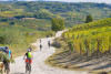 Ferrero Langhe Tours
