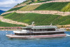 Rhine in Flames - Party Cruise on the RheinDream - All-Inclusive Rheingau Wine Party