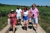 The Lovely Escape - Walking Stroll & Tasting