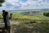 The Must-sees from Epernay (private Champagne tour) 3h30