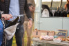 The Essential tour from Epernay