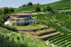 MASSIMO RATTALINO - Tasting Shades of Nebbiolo