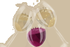THE MONFERRATO IN... WHITE… RED... BUBBLES