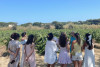 Your bachelorette/hen party in the vineyards