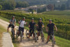 Private bike tour through the vineyards of Bardolino (MTB, Gravel or E-bike)