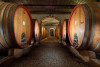Poderi Gianni Gagliardo - QUATTROVINI