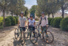 E-bike journey Bordeaux to Saint-Emilion