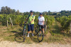 From Bordeaux : The Médoc by Gravel Bike