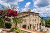 Wine and Gourmet Experience