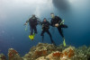 PADI Discover Scuba Diving