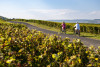 Electric Bike Tour in the Marne Valley – Full Day