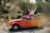 Vintage Wine Tour around Saint Tropez
