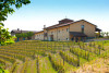 Tenuta Rocca