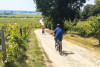 E-bike journey Bordeaux to Saint-Emilion