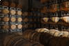 Vite Colte - Journey through Nebbiolo