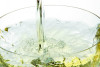 Mango Regional Wine Shop - Tasting of 4 wines