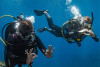 Premium First Dive - Discover Scuba Diving (DSD) Fréjus