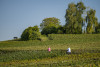 Electric Bike Tour in the Marne Valley – Morning