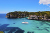 Boat and Snorkeling Tour