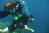 First scuba-diving - From the beach, Mandelieu