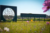 Le Clos des Roses - Guided tour and wine tasting