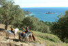 Les 3 Fers - Panoramer