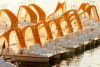 Pedal boat rental - Lake St-Cassien