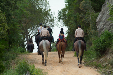 Horse riding excursions