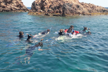 Snorkeling - Port Fréjus