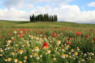 hike tuscan villa 