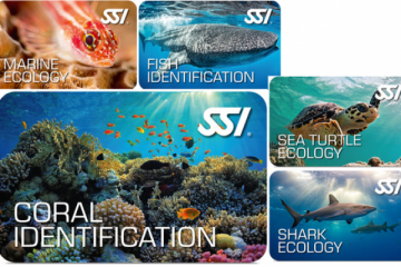 Different Digital Kit of Diving & Submarine Knowledge