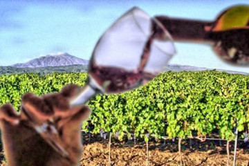 Etna Wine from Catania standard price