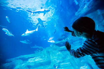 ANNUAL PASS – Unlimited Marine Magic!