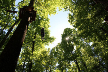 13 courses in a forest of hundred-year-old oaks