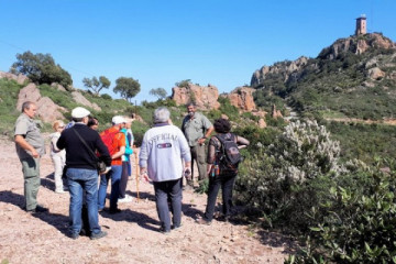 Discovery of the Estérel with a forest guide