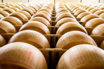 Parma: full day private food tour