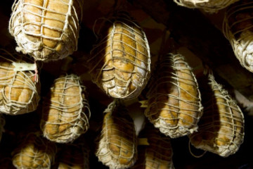 Parma: half day private food&wine tour "Culatello and more"