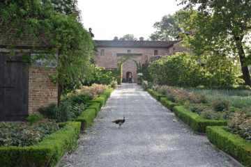 Parma: full day private food&wine tour "Culatello and more"